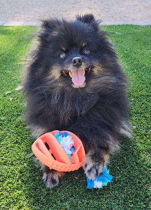 Rubber Football Dog Chew Toy with Tug Rope