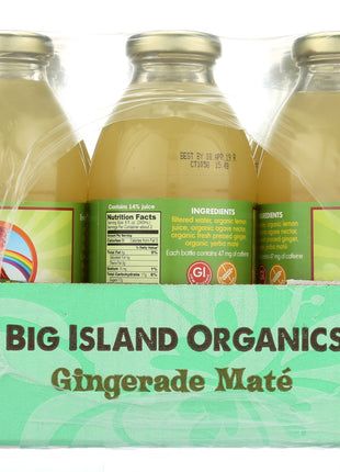 Gingerade Maté 16oz - 12pk