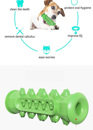 Chewing Toy for Dogs